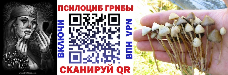 Псилоцибиновые грибы мухоморы маркетплейс состав Алексеевка цена